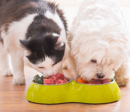 BARF Futter selbst zusammenstellen BARF Futter
