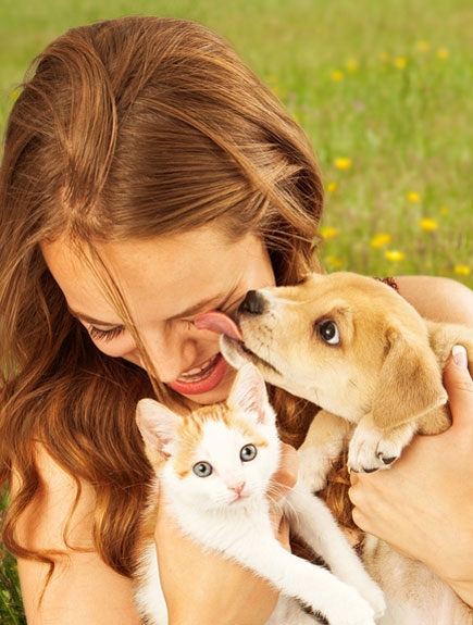 FertigBARF für Katzen & Hunde BARF Menü Katze & Hund