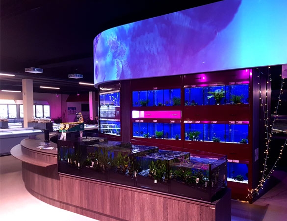 Unsere großzügige Flossenstolz Ladentheke Flossenstolz Ladentheke